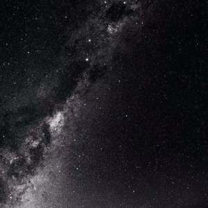 黑人牲交视频免费播放
