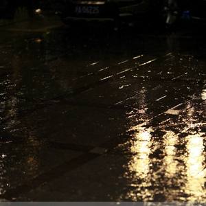 黑人牲交视频免费播放
