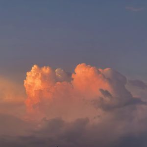 黑人牲交视频免费播放
